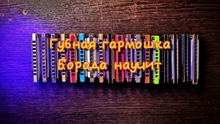 Губная гармошка уроки