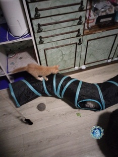 Игрушки