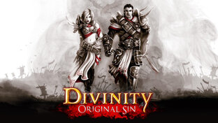 Divinity: Original Sin - Enhanced Edition (кооператив)