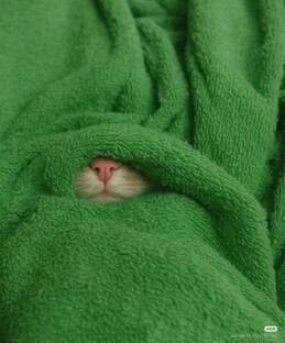 Новинки 2026 года