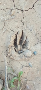 Случайные случайности