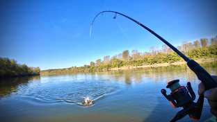 Спиннинг и джиг