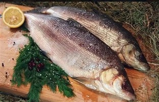 Рецепты из рыбы 👨‍🍳