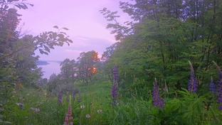 Музыка из советских фильмов