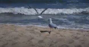 Детско-юношеская литература