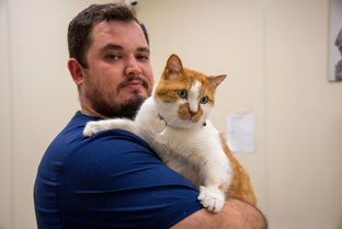 Советы ветеринара 