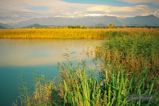 Экология Сочи