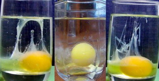 Выкатка яйцом