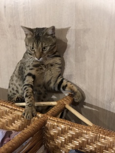 Однажды, 2 года спустя.