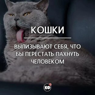 Ролики