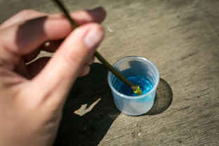 Результаты садовых экспериментов