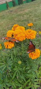 Мудрые стихи о Боге, жизни