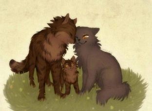 Коты Воители