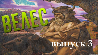 S.T.A.L.K.E.R. Джин с ЧАЭС (Николай Грошев) Велес-3