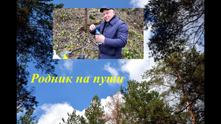 Родник на пути