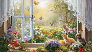 Окно в природу