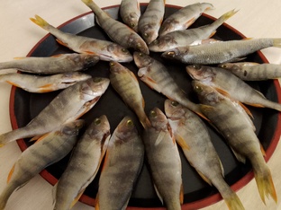 дед на кухне