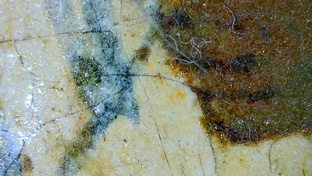 Экспертиза искусства