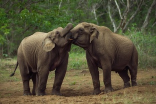 Юмор в картинках