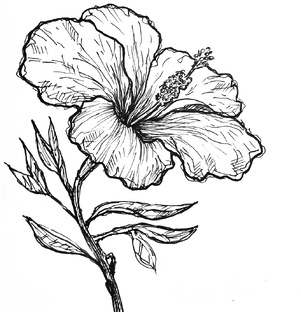 Мысли, мифы и сказки