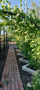 Первичная информация по будущим сортам