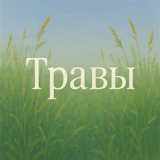 Травы и растения