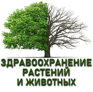 Концепция «Здравоохранение Растений и Животных»
