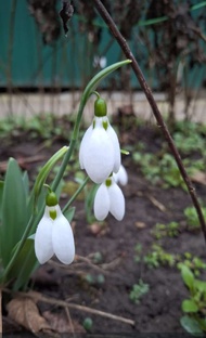 Февраль'25. Переход, но не тот.