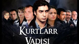 Kurtlar Vadisi: Films
