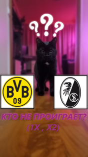 Бундеслига 2024/25