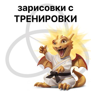 Зарисовки с тренировки #ZSLAiki