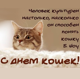 Индикаторы культуры человека
