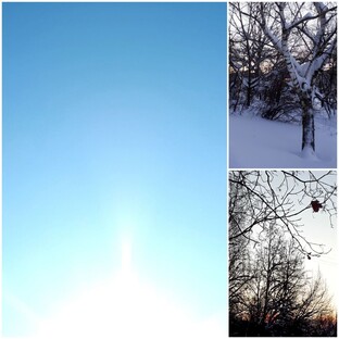 РЕАЛЬНЫЕ ИСТОРИИ:)