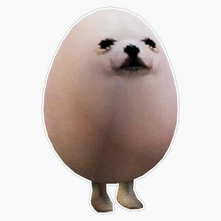 яйца 