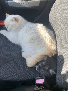 На позитиве