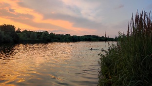 Чилим на природе