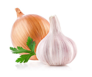 Лук, чеснок, порей