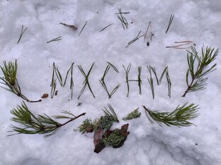 МХСНМ 