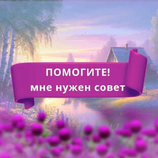 Помогите, мне нужен совет!