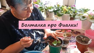 Болталка про Фиалки!