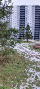 Первый месяц зимы. Ждём снега. 