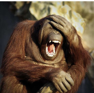 Анекдотик_Дня 