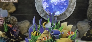 Животные Разные