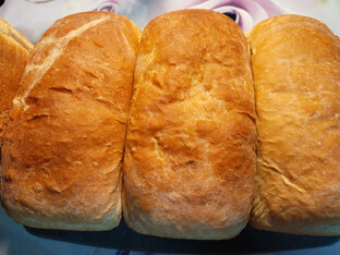 НАШИ ЛЮБИМЫЕ РЕЦЕПТЫ.