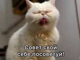 Бесплатные и непрошеные советы, которые нужны как в бане шпингалеты 