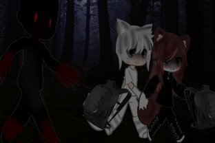 Фото из наших историй