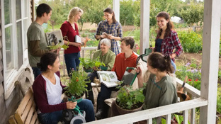 Делимся опытом 