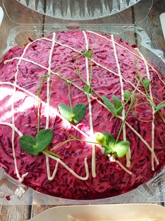 Салаты, закуски