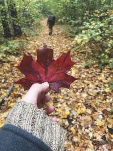 Около туризма