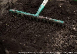 Весенняя подготовка сада